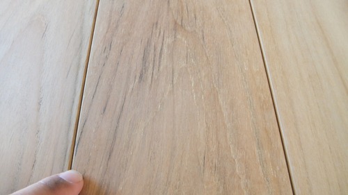 �ͥ���������� �ץ�ߥ����졼�ɣ�