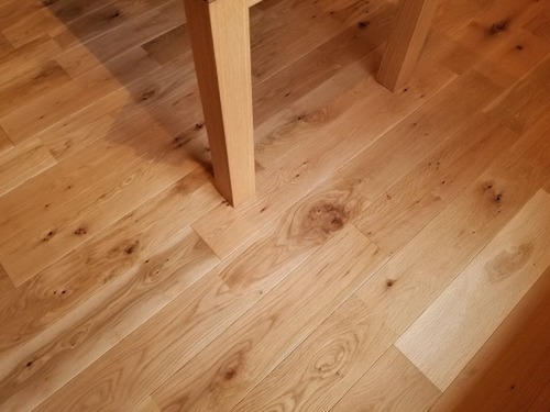 ����������������̵���ե������ �ͥ����åɥ��졼�ɡ�����