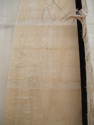 ����̵���������� ��