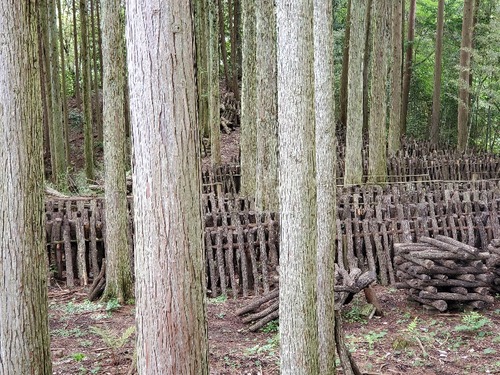 ���Ĥ��Τ��व��