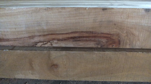 ¥¯¥¹¥Î¥¡¡£²