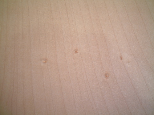 �衼���ԥ���᡼�ץ���������ʪ̵�ᡡ������磲