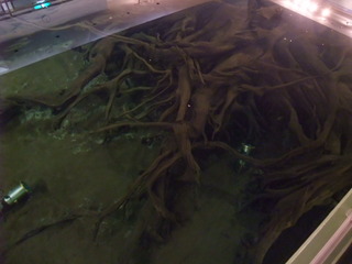 ËäË×ÎÓÇîʪ´Û£±£¶