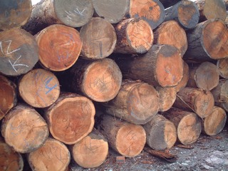 �ԥ奢�顼���ե�����󥰡���