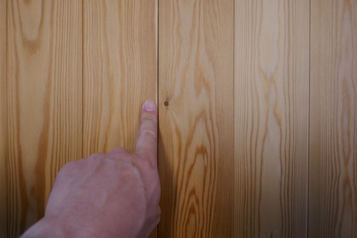 ԥ奢顼̵ʪե󥰡ץߥ졼 룱