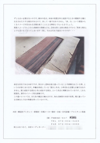 �ڤΥӥ֥ꥪ�̿� No,10��΢