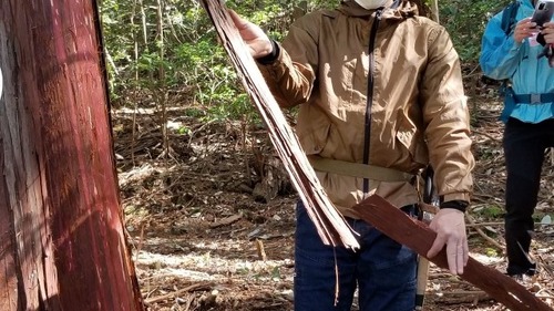 ����ù���8