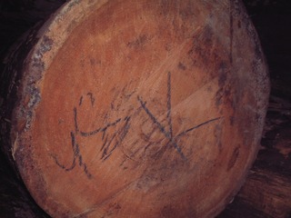 �ԥ奢�顼���ե�����󥰡���