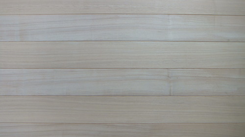 ���ä���ʤ�����礦�������������̵������ʪ�ե������11