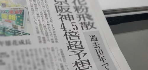 花粉飛散の記事