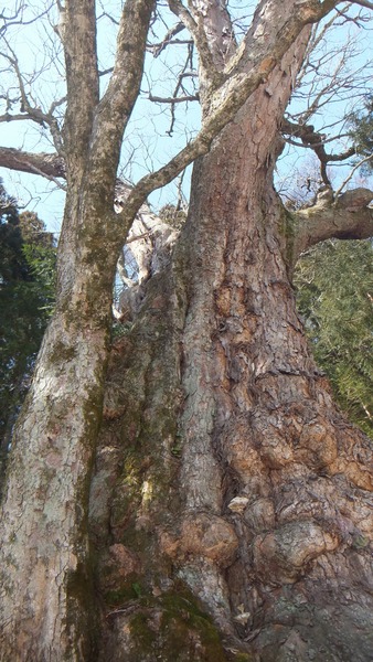 ����Υȥ�����