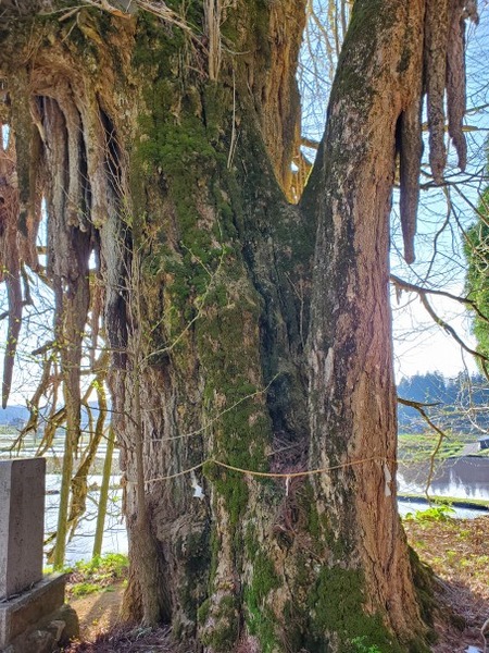 ���縩������ �����������ꥤ���祦3