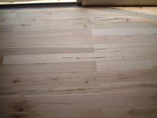 �Ĳ����ʥ᡼�ץ�˻ܹ��̿���6