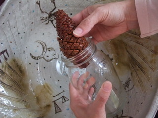 ���ܤä���ޥ��å���