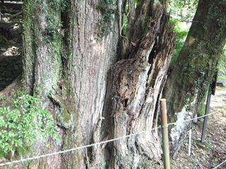 �г��ηˡ���