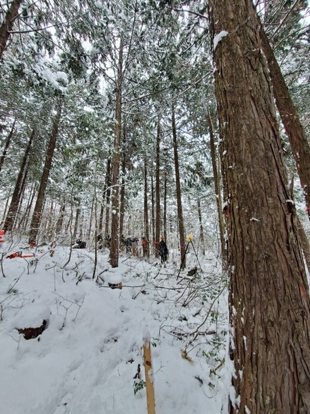 ��׼���־�����Ƥ롢�����͡���������2025-3