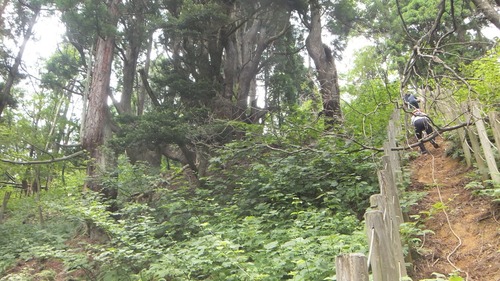 ²ÖÀÔ¤ÎÅ·Á³Éú¾òÂæ¿ù 11