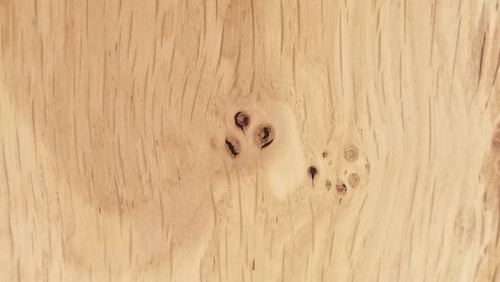 ����������������̵���ե������ �ͥ����åɥ��졼�ɡ�21