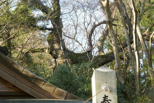 ���縩������ �����������ꥤ���祦14