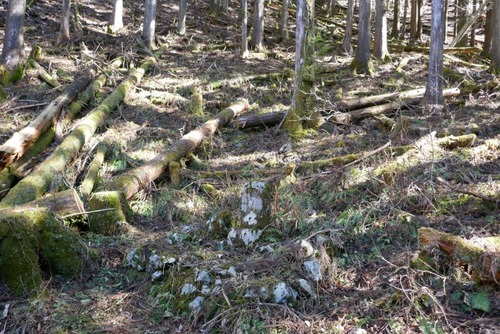 Ê¿´ä²È¤Î¥¤¥Á¥¤ 10