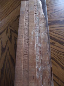 ���ԥȥ�ե������΢¦