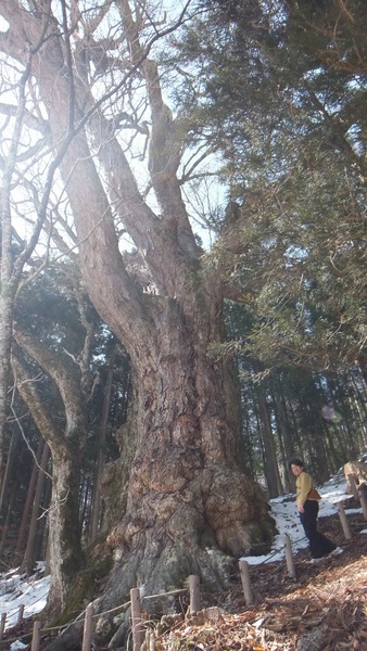 ����Υȥ�������