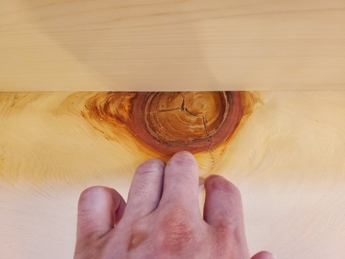 ÅÁÅý¹©Ë¡¤ÎÂ繩¤µ¤ó¤¬·ú¤Æ¤ë¡¢½ª¤ÎÀ³²È£¸