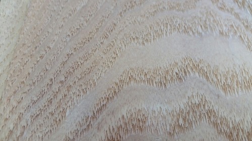 ƻ������