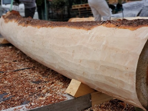 ÈôÂͤδÝÂÀ Èé¤à¤£´