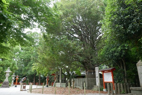 ����®����ҤΥʥ�����ˡ�8