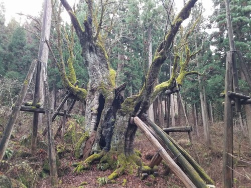 ���Ĥ���ȥ�5