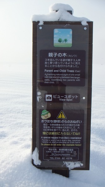 ¿Æ»Ò¤ÎÌÚ¡¡£±