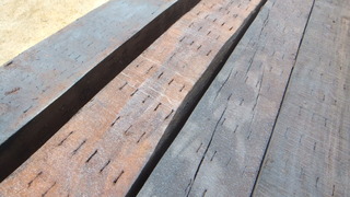 �������ڡ���