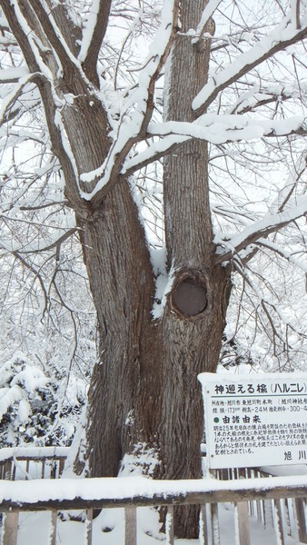 ���ޤ���������