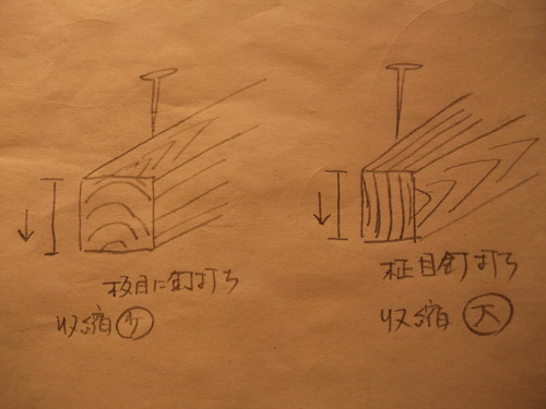 ���ܤ����ܡ�ţ�Ǥ������顦����