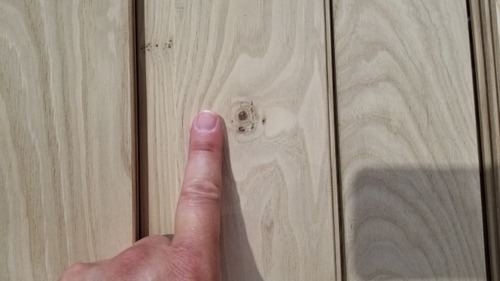 ÆüËܤιÍÕ¼ù̵¹¤¥Õ¥í¡¼¥ê¥ó¥° ¾¡·ª¡Ê¤¹¤°¤ê¡Ë°ìËçʪ¥Õ¥í¡¼¥ê¥ó¥°12