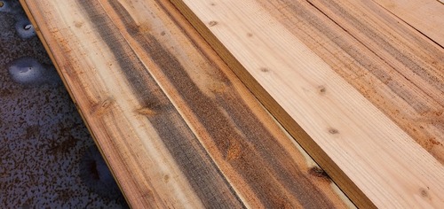 ���ڻԻ��ม�ʣ�