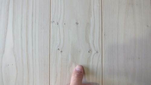 ÆüËܤιÍÕ¼ù̵¹¤¥Õ¥í¡¼¥ê¥ó¥° ¾¡·ª¡Ê¤¹¤°¤ê¡Ë°ìËçʪ¥Õ¥í¡¼¥ê¥ó¥°8