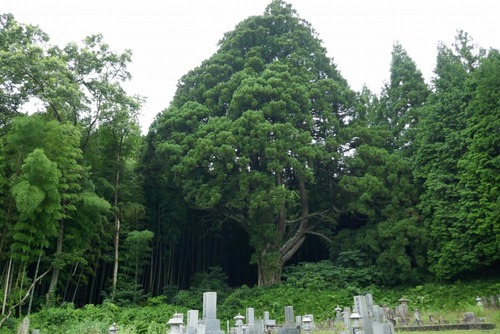 ���Ĥ��������