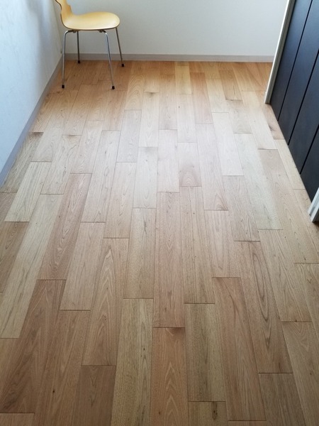 ���ä�������̵������ʪ�ȥΥ�ǥ��ȥ�������ʥå�V�£���