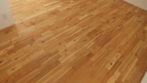 ԥ奢顼ͥåɥ졼UNI 1