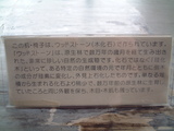 ウッドストーン解説