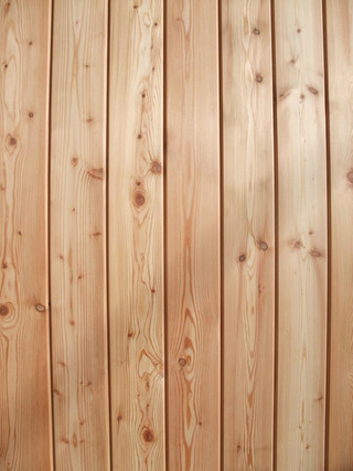 �ԥ奢�顼�������ġ��ͥ����åɡ���Ž��