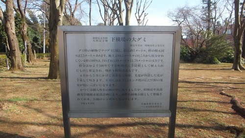 ²¼²£¾ì¤ÎÂ祰¥ß£±