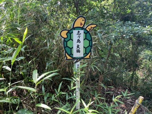 志々島の大くす24
