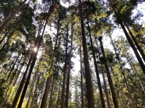 �ĥ�����