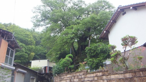 ���������९��