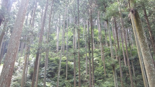 ���ǹͤ��뤳�ȡ���