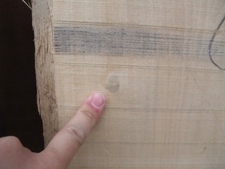 ����̵�����ա��ե�