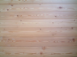 �ԥ奢�顼���ե�����󥰡��ͥ����åɡ���